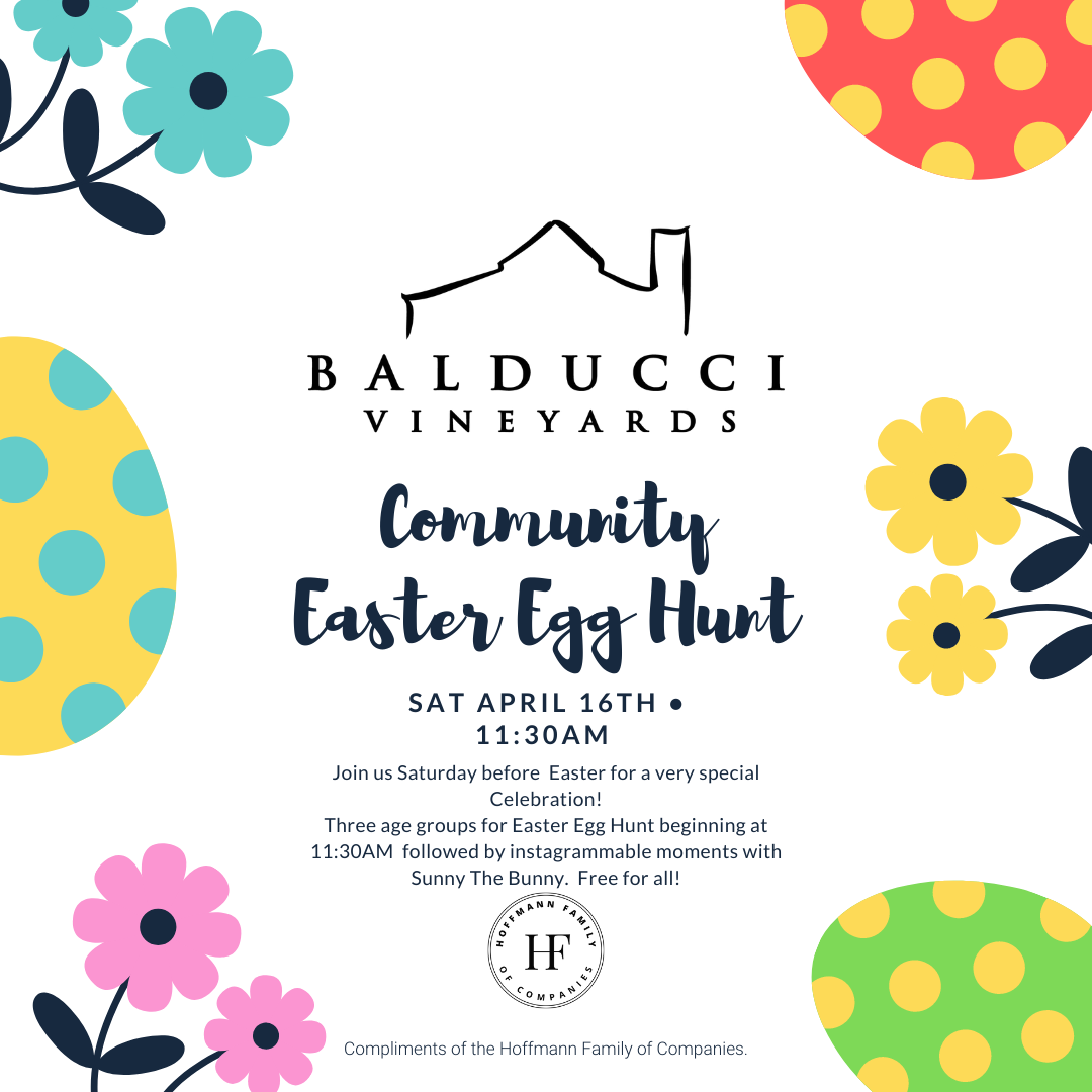 Instagram Balducci Easter Egg Hunt