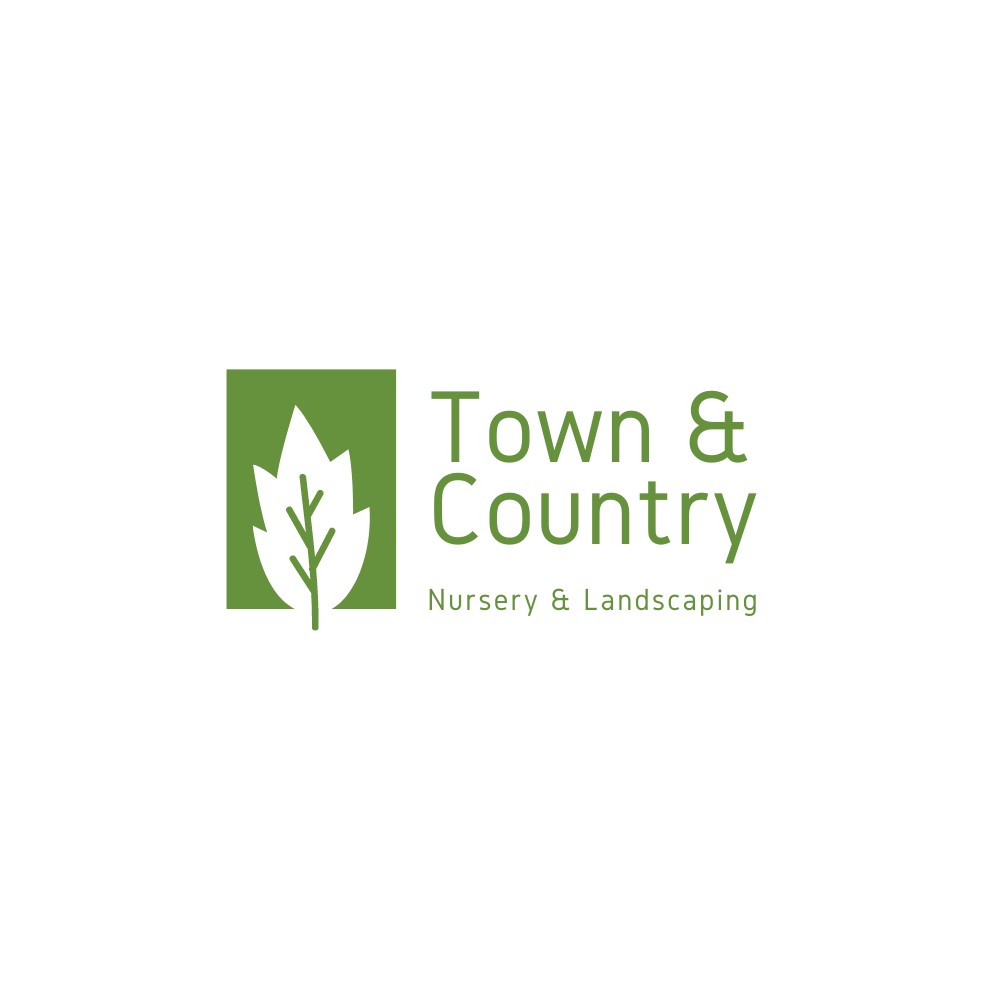 You are currently viewing Town and Country Nursery