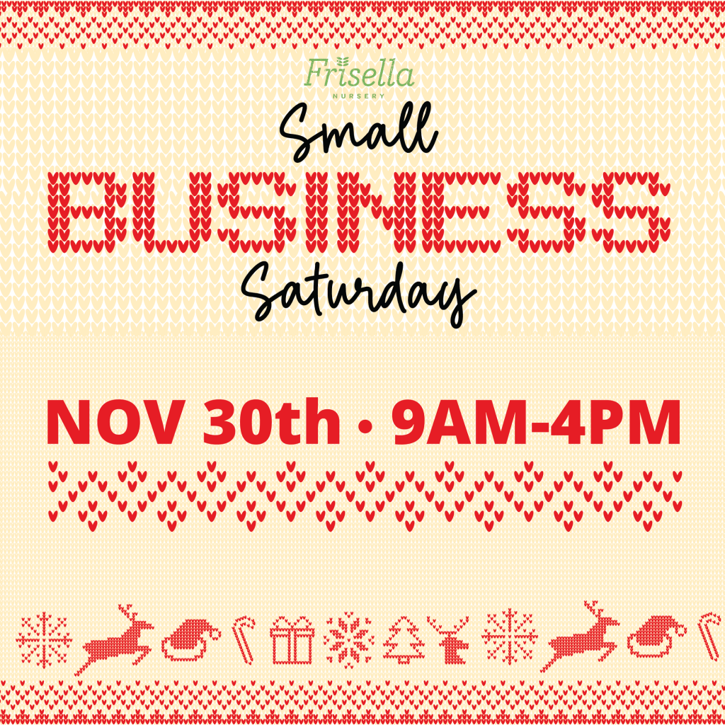 11 November Small Business Saturday SM Graphic 03 (1)